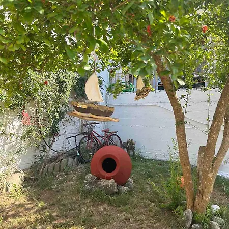 Aparments Elina Apartment *