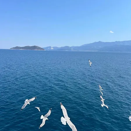 Apartmán Aparments Elina Potamia (Thasos)