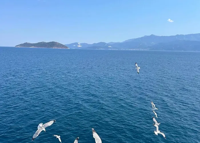 公寓 Aparments Elina Potamia (Thasos)